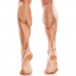 Depilación láser HOMBRE 1/2 Piernas 