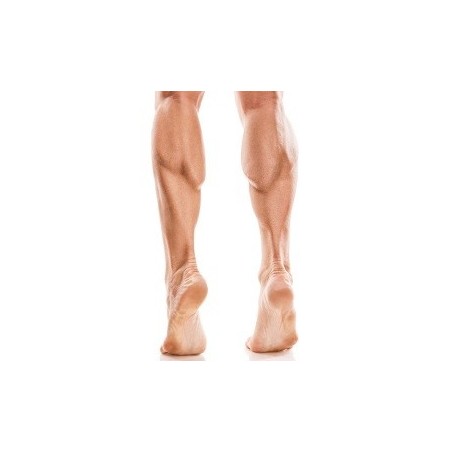 Depilación láser HOMBRE 1/2 Piernas 